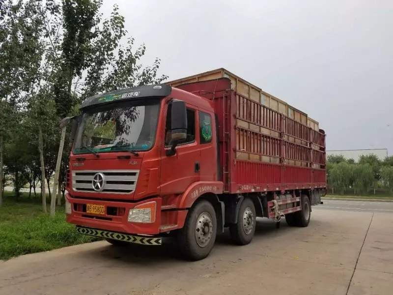 聚焦 • Beclear武清生产园区发货现场