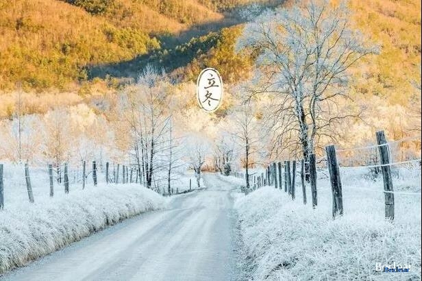 立冬至，寒意侵，冬天来了